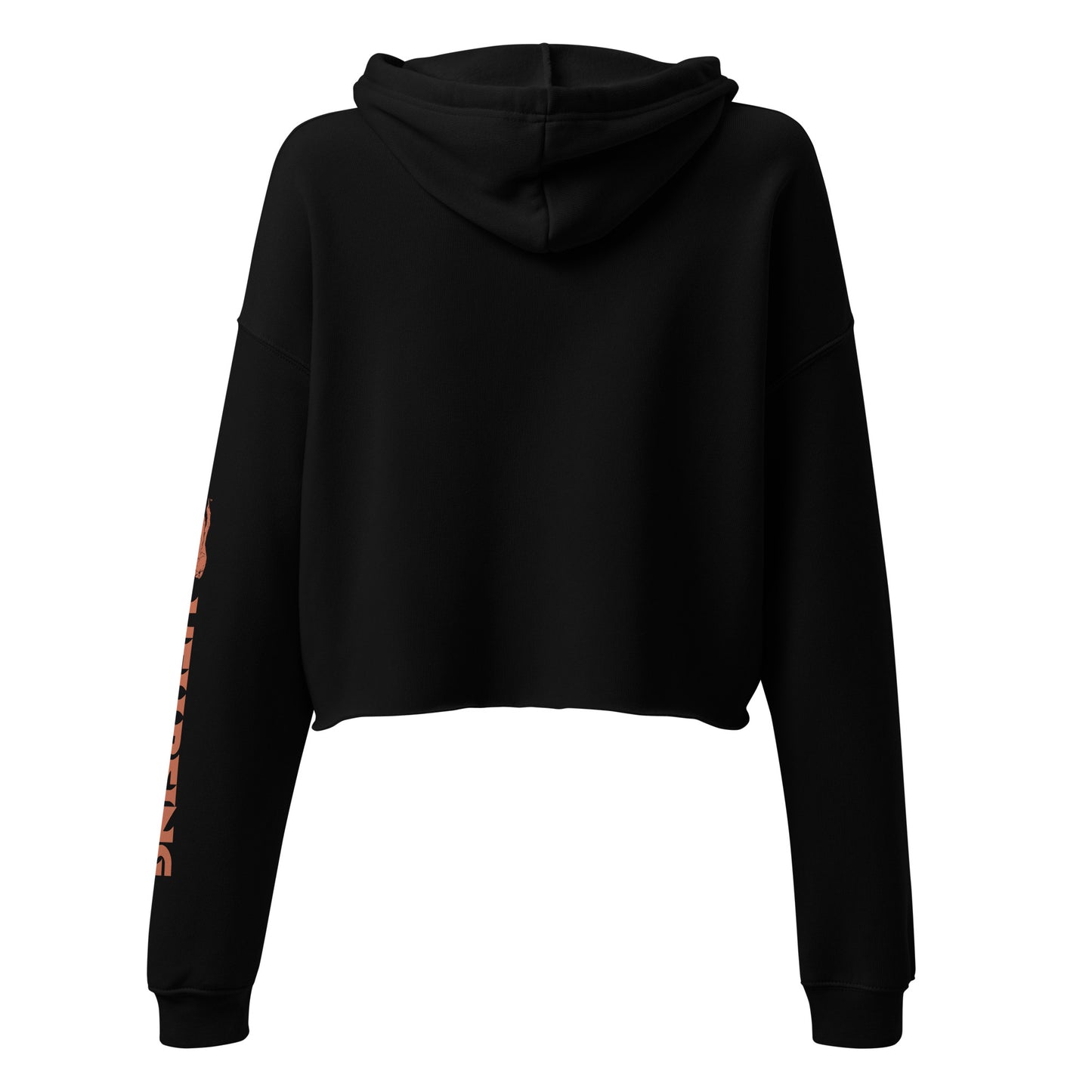 Back view of the Hellbeing Lucifer's Pulpit women's cropped black hoodie