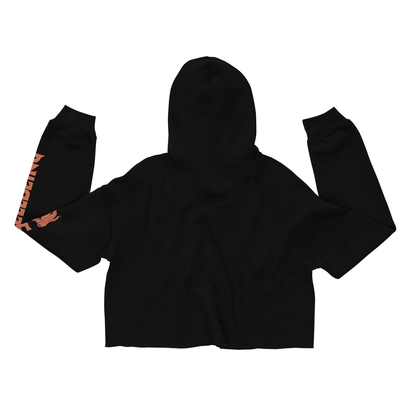 Back top view of the Hellbeing Lucifer's Pulpit women's cropped black hoodie
