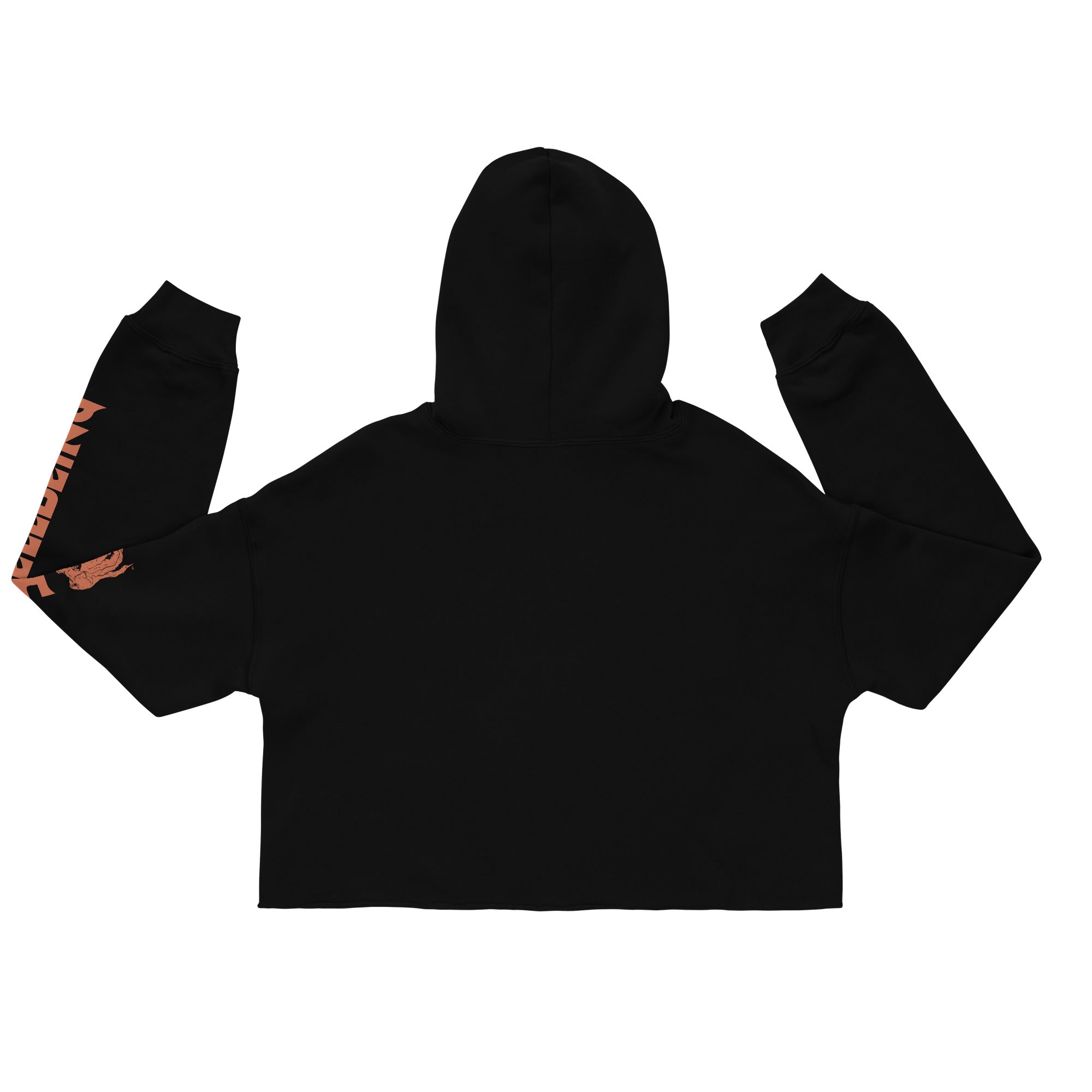 Hellbeing Lucifer's Pulpit crop hoodie in black, top back view