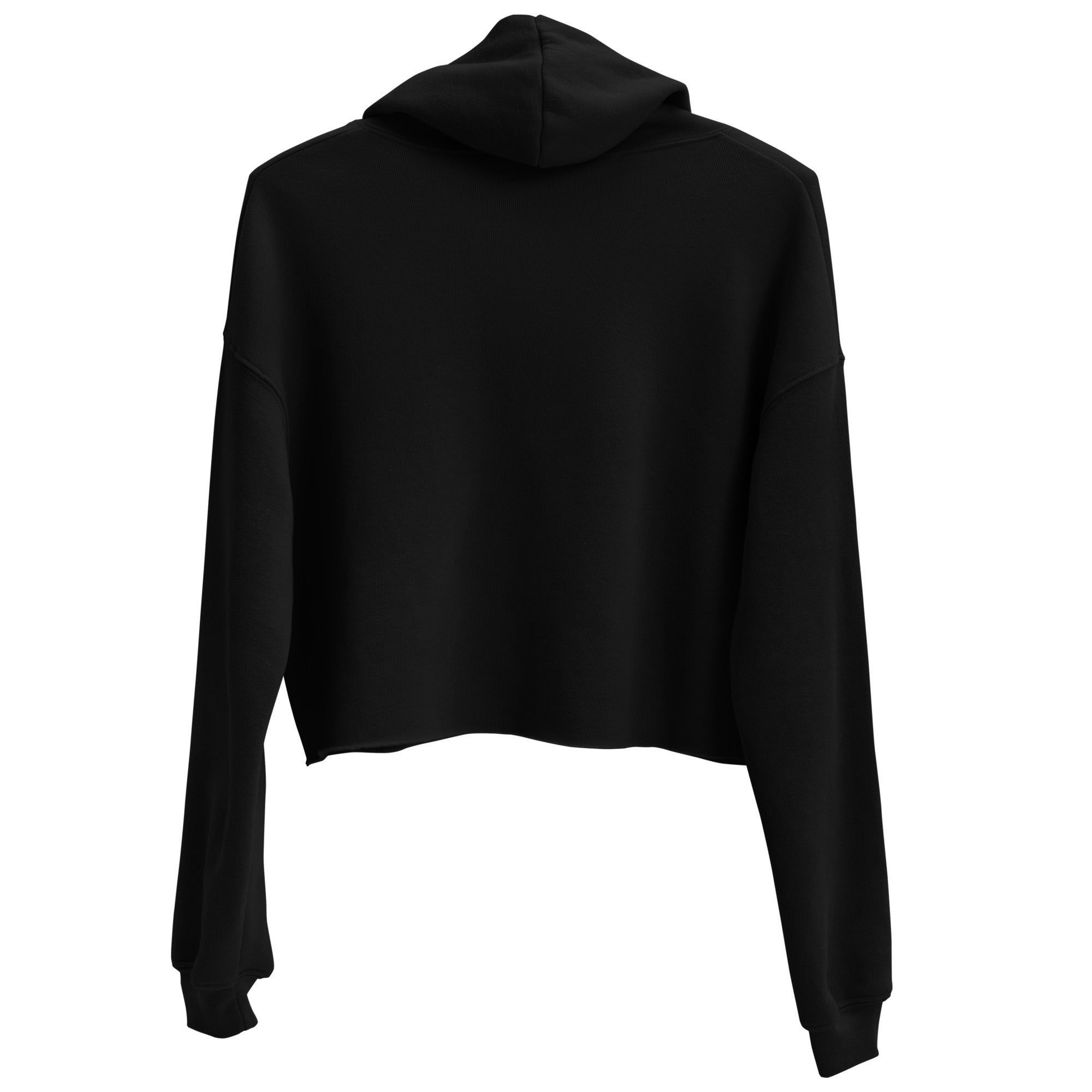 Hellbeing embroidered skull cropped hoodie in black, back view