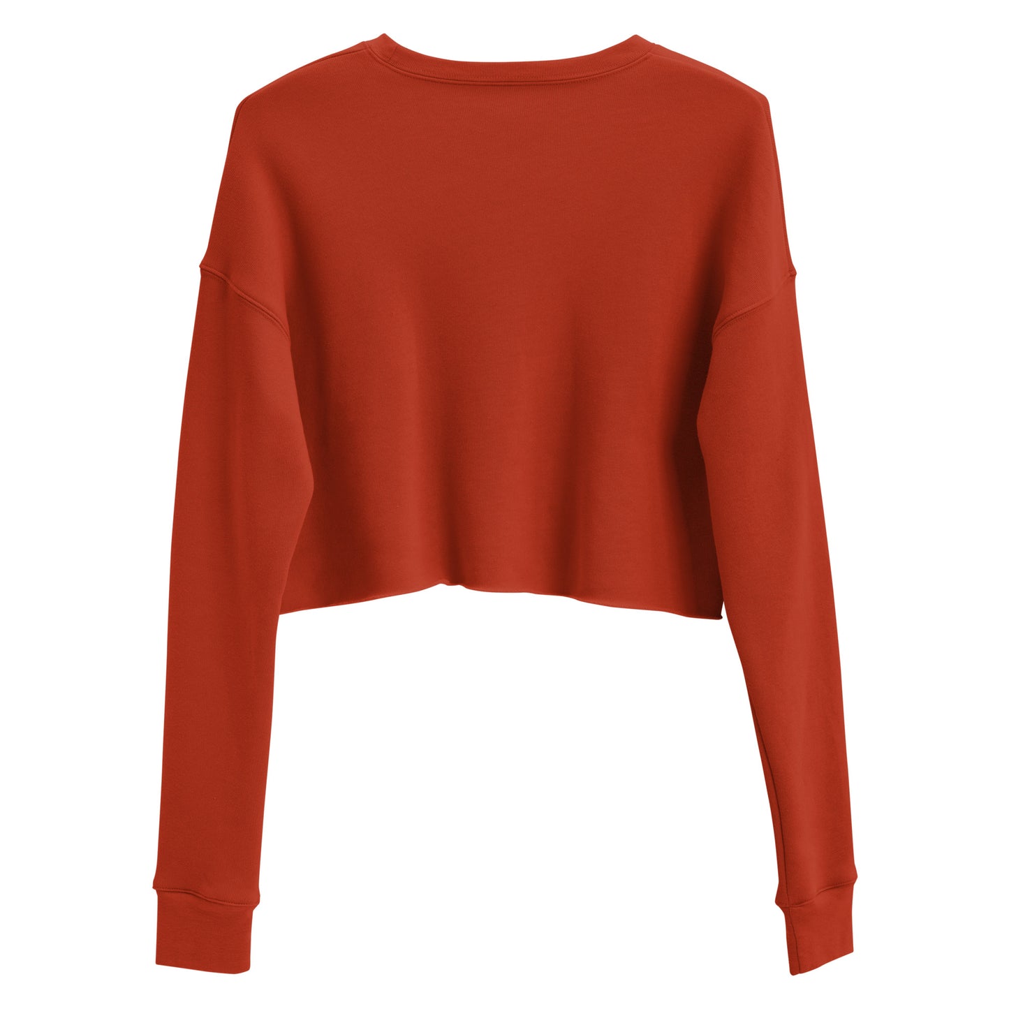 Hellbeing womens cropped skull logo red sweatshirt back view